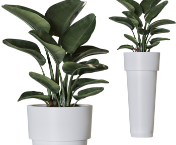 Modern Ground Green Plant Potted Plants-ID:333986047