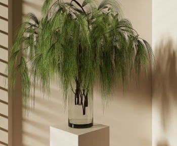 Modern Desktop Plant-ID:926090962