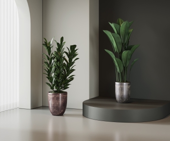 Modern Ground Green Plant Potted Plants-ID:490092048