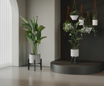 Modern Ground Green Plant Potted Plants-ID:102036002