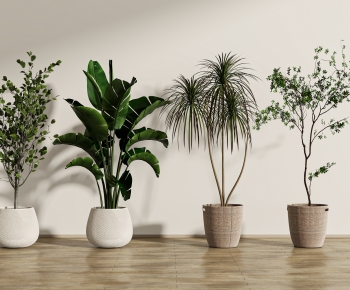 Modern Ground Green Plant Potted Plants-ID:722628121