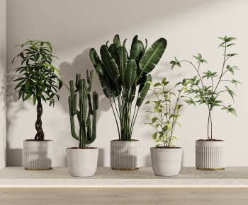 Modern Ground Green Plant Potted Plants-ID:812601092