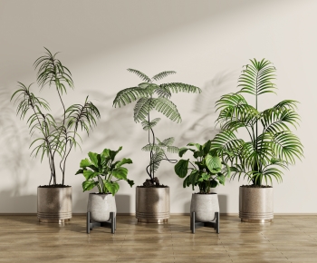 Modern Ground Green Plant Potted Plants-ID:540893087