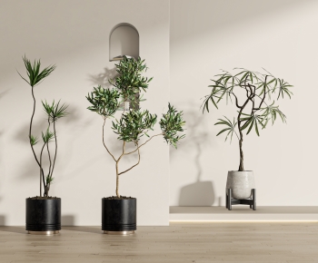 Modern Ground Green Plant Potted Plants-ID:149957908