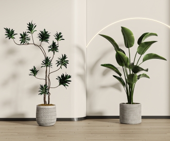 Modern Ground Green Plant Potted Plants-ID:841779954