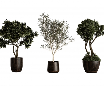 Modern Ground Green Plant Potted Plants-ID:679337988