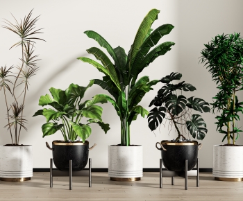 Modern Ground Green Plant Potted Plants-ID:762027983