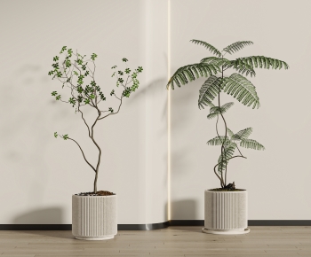 Modern Ground Green Plant Potted Plants-ID:481091027