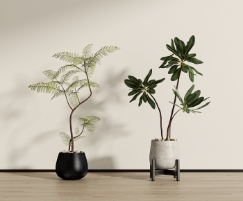 Modern Ground Green Plant Potted Plants-ID:888370041