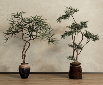 Wabi-sabi Style Ground Green Plant Potted Plants-ID:720330007