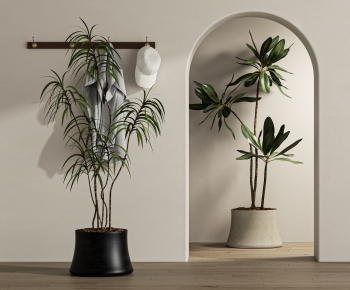 Modern Ground Green Plant Potted Plants-ID:481200219