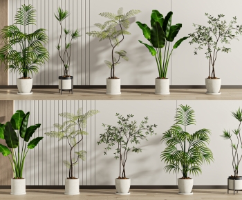 Modern Ground Green Plant Potted Plants-ID:342842108