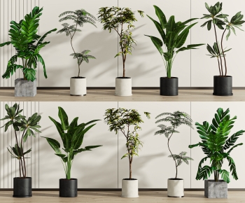 Modern Ground Green Plant Potted Plants-ID:590806969