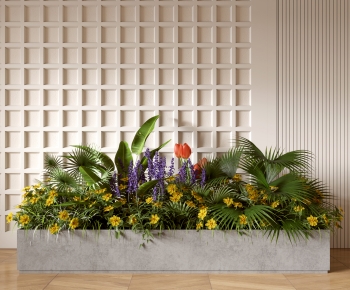 Modern Flower Bed, Flower Bowl, Flower Box-ID:937902938