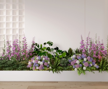 Modern Flower Bed, Flower Bowl, Flower Box-ID:558171035