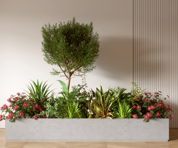 Modern Flower Bed, Flower Bowl, Flower Box-ID:277762897