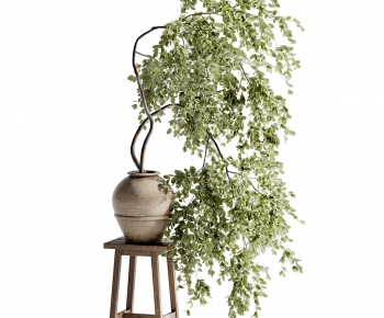 Wabi-sabi Style Desktop Plant-ID:790237901