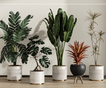 Modern Ground Green Plant Potted Plants-ID:731289493