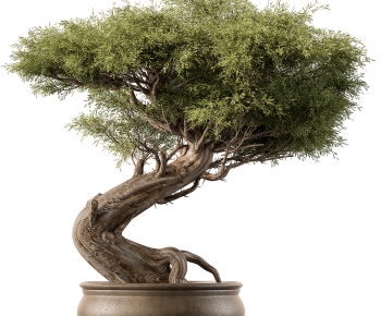 New Chinese Style Bonsai-ID:650139095