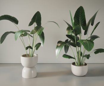 Modern Ground Green Plant Potted Plants-ID:342379091