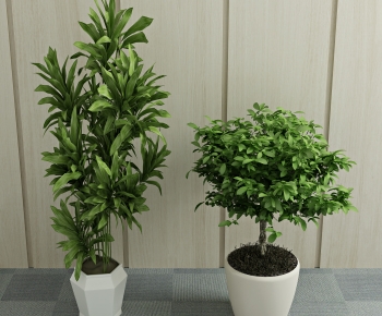 Modern Ground Green Plant Potted Plants-ID:118818043