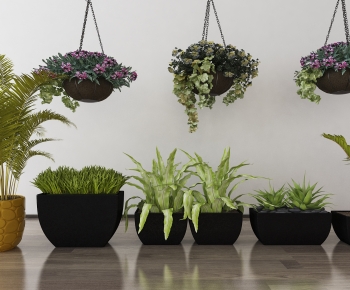 Modern Ground Green Plant Potted Plants-ID:419895899