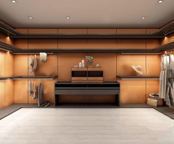 Modern Clothes Storage Area-ID:348892932