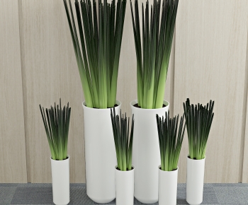 Modern Ground Green Plant Potted Plants-ID:901551969