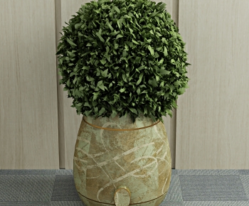 Wabi-sabi Style Ground Green Plant Potted Plants-ID:653317937