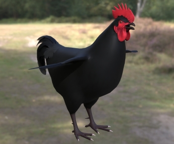 Modern Poultry Animal-ID:657361988