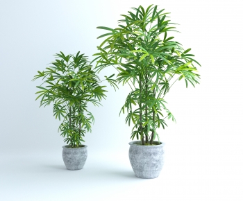 Wabi-sabi Style Ground Green Plant Potted Plants-ID:348685981