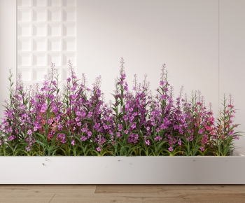 Modern Flower Bed, Flower Bowl, Flower Box-ID:845113043