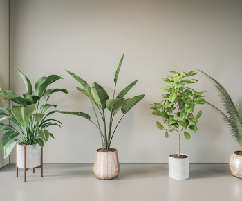 Modern Ground Green Plant Potted Plants-ID:480788956