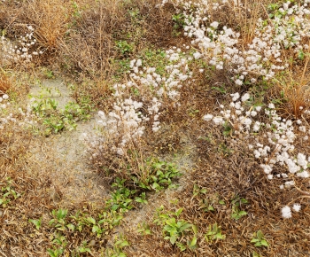 Modern Flowers And Grass-ID:255451923