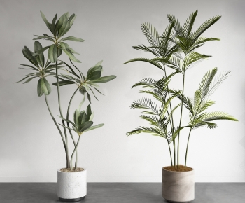 Wabi-sabi Style Ground Green Plant Potted Plants-ID:119208101