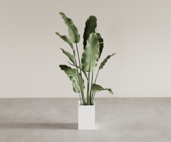 Modern Ground Green Plant Potted Plants-ID:149189005