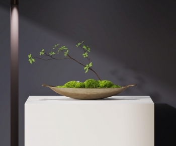 Modern Bonsai-ID:840738065