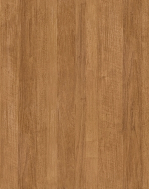 ModernWood Texture