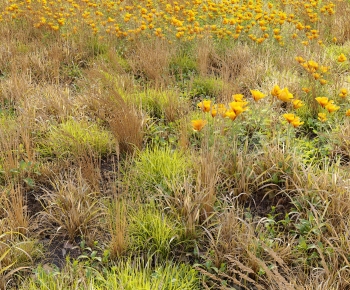 Modern Flowers And Grass-ID:221853979