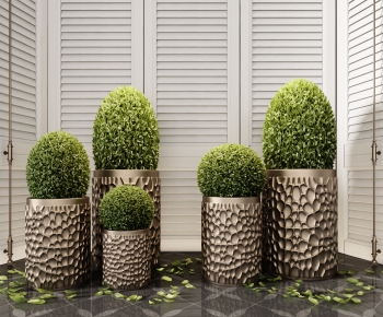 Modern Ground Green Plant Potted Plants-ID:278836013