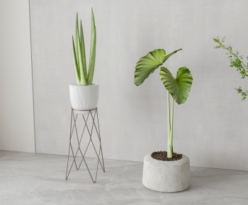 Modern Ground Green Plant Potted Plants-ID:901863102