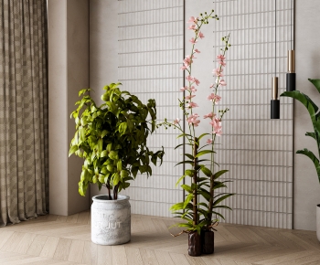 Modern Ground Green Plant Potted Plants-ID:842412954