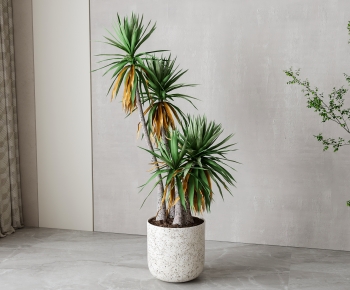 Wabi-sabi Style Ground Green Plant Potted Plants-ID:772430905