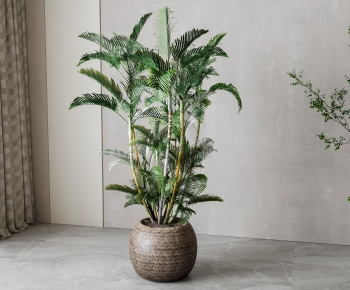 Wabi-sabi Style Ground Green Plant Potted Plants-ID:467400629