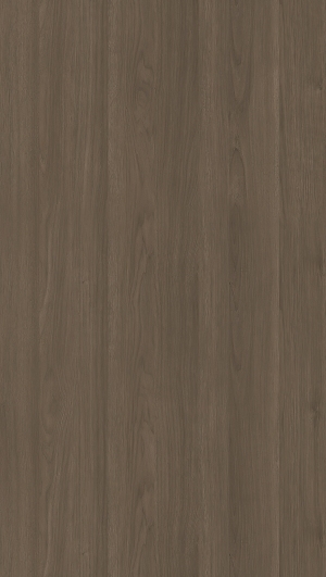 ModernWood Texture