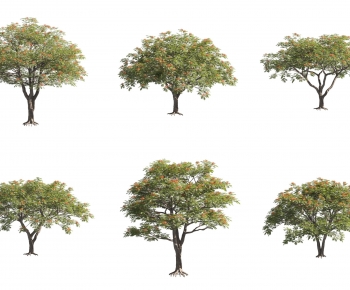 Modern Tree-ID:639379022