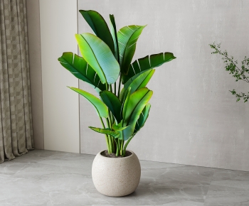 Modern Ground Green Plant Potted Plants-ID:942861081