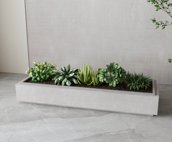 Modern Flower Bed, Flower Bowl, Flower Box-ID:468694934