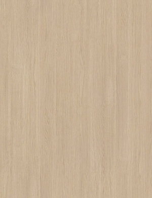 ModernWood Texture