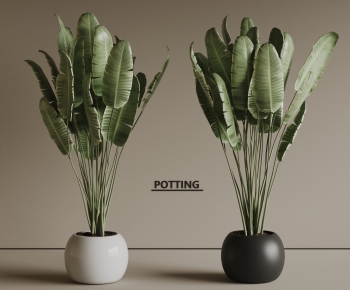 Modern Ground Green Plant Potted Plants-ID:660826922